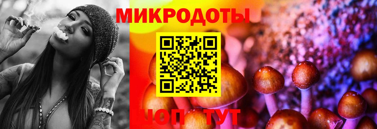Галлюциногенные грибы мухоморы Лениногорск