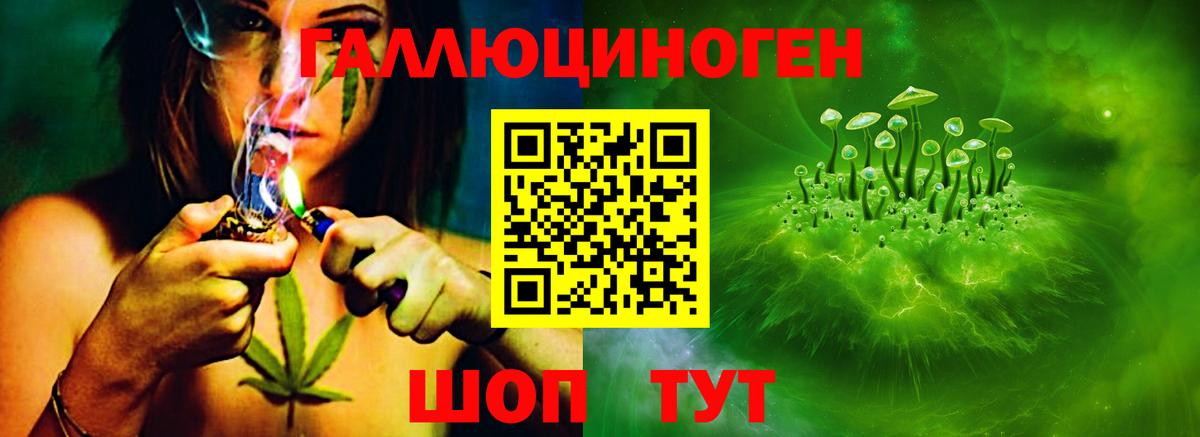 Лениногорск  Псилоцибиновые грибы Cubensis  Вход с VPN  Галлюциногенные грибы Psilocybe 
